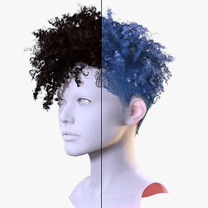 3D Curly Undercut Hairstyle - Realistic 3D Hair model