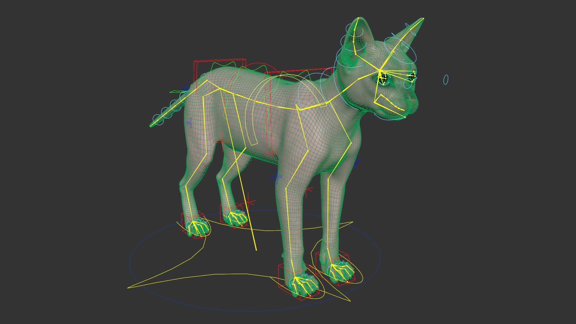 Black House Cat Fur Set Animated Rigged For Maya 3D https://p.turbosquid.com/ts-thumb/aq/jUmF64/01/black_house_cat_fur_set_animated_rigged_for_maya_027/jpg/1789421887/1920x1080/fit_q87/7548314cab17aadd97271533084daf2e37e8525f/black_house_cat_fur_set_animated_rigged_for_maya_027.jpg