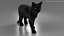 Ensemble de fourrure de chat domestique noir animé et riggé pour Maya