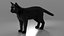 Ensemble de fourrure de chat domestique noir animé et riggé pour Maya