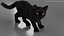 Ensemble de fourrure de chat domestique noir animé et riggé pour Maya