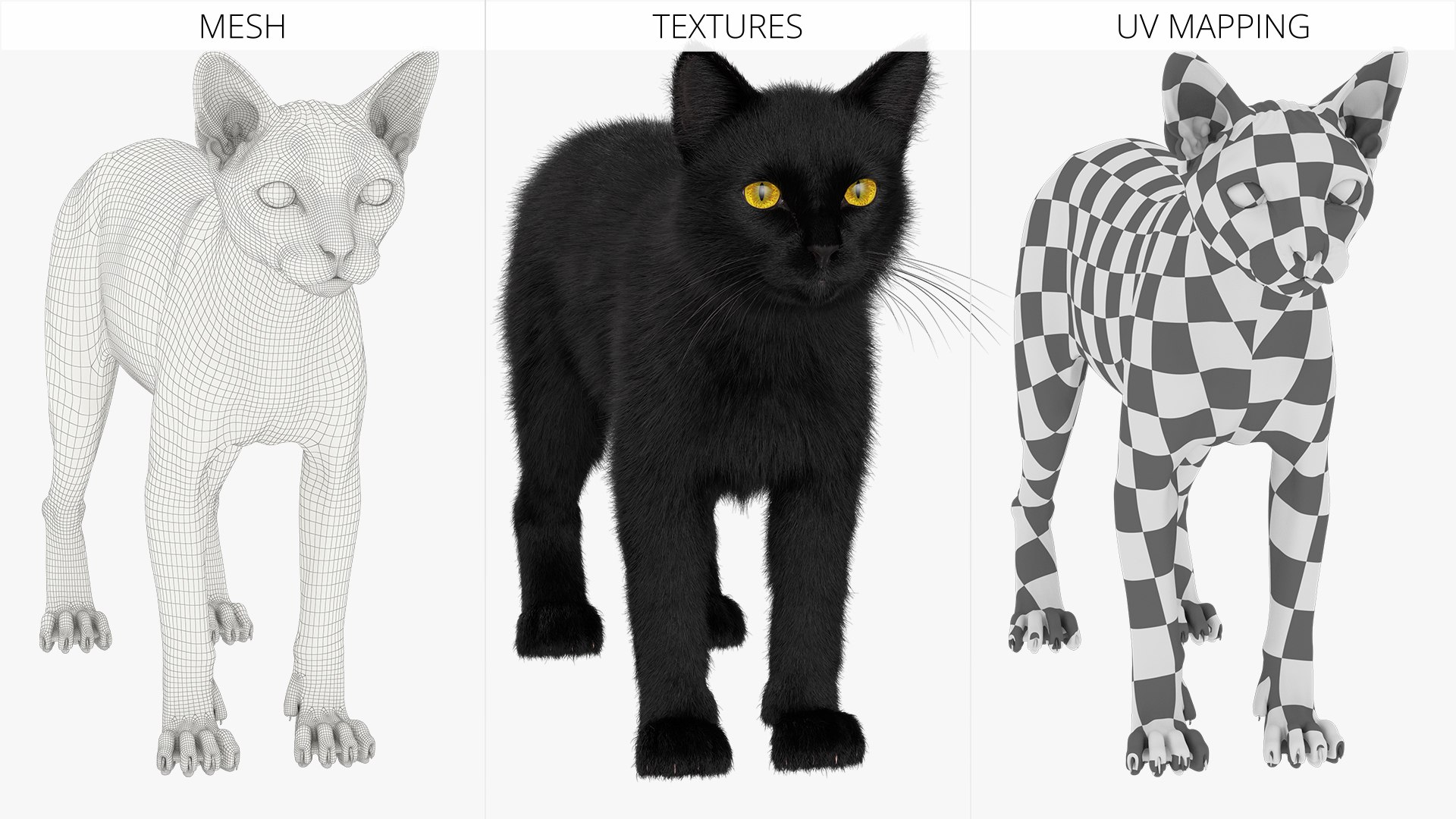 Black House Cat Fur Set Animated Rigged For Maya 3D https://p.turbosquid.com/ts-thumb/aq/jUmF64/9K/black_house_cat_fur_set_animated_rigged_for_maya_022/jpg/1789421872/1920x1080/fit_q87/6ccd7bbb1ca14941e7de04d156683e4be662d99e/black_house_cat_fur_set_animated_rigged_for_maya_022.jpg