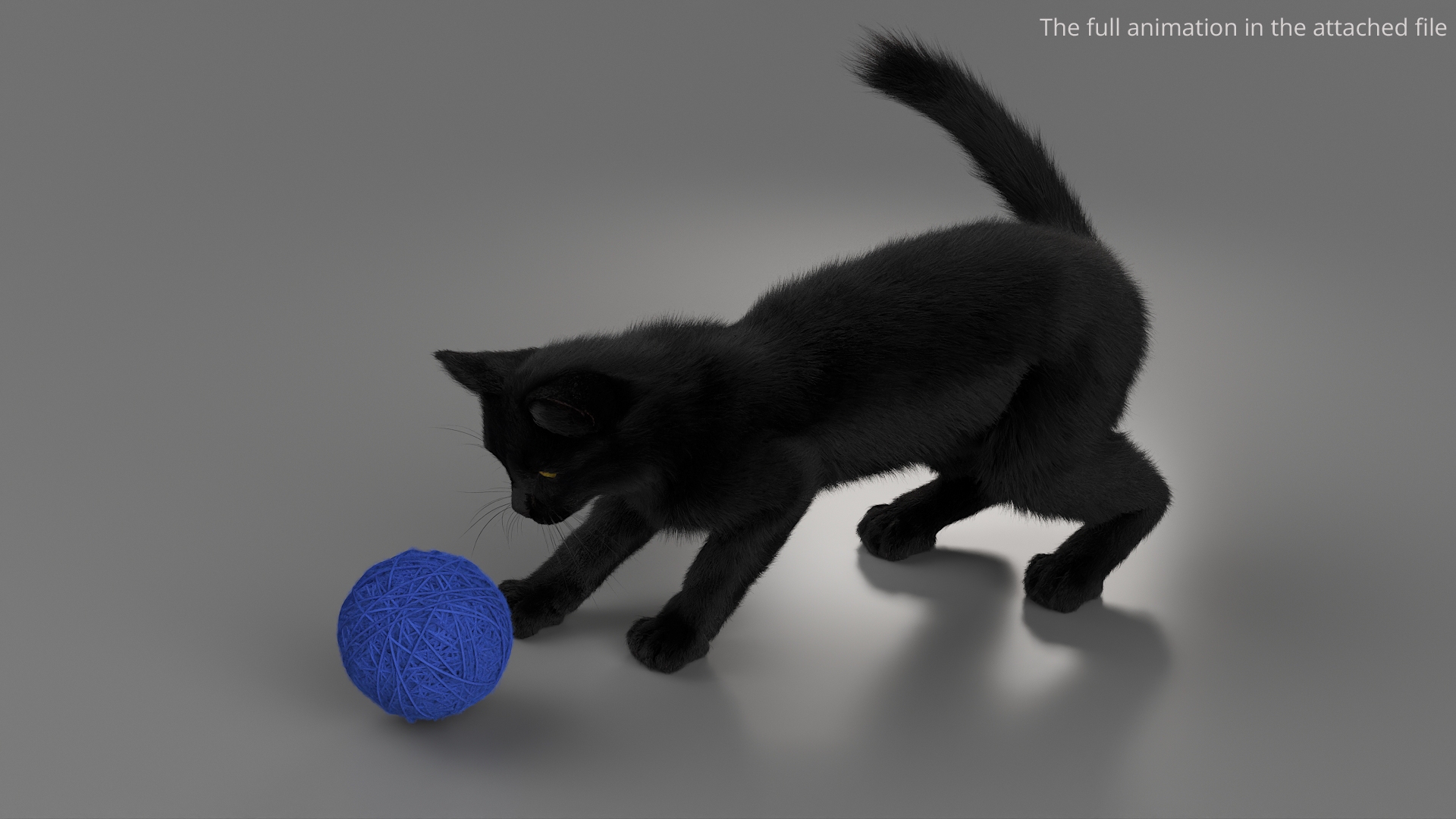 Black House Cat Fur Set Animated Rigged For Maya 3D https://p.turbosquid.com/ts-thumb/aq/jUmF64/9T/black_house_cat_fur_set_animated_rigged_for_maya_361/jpg/1789421230/1920x1080/turn_fit_q99/f85a529527cf0b52fbecf7bbe0a400fb78c434ab/black_house_cat_fur_set_animated_rigged_for_maya_361-1.jpg