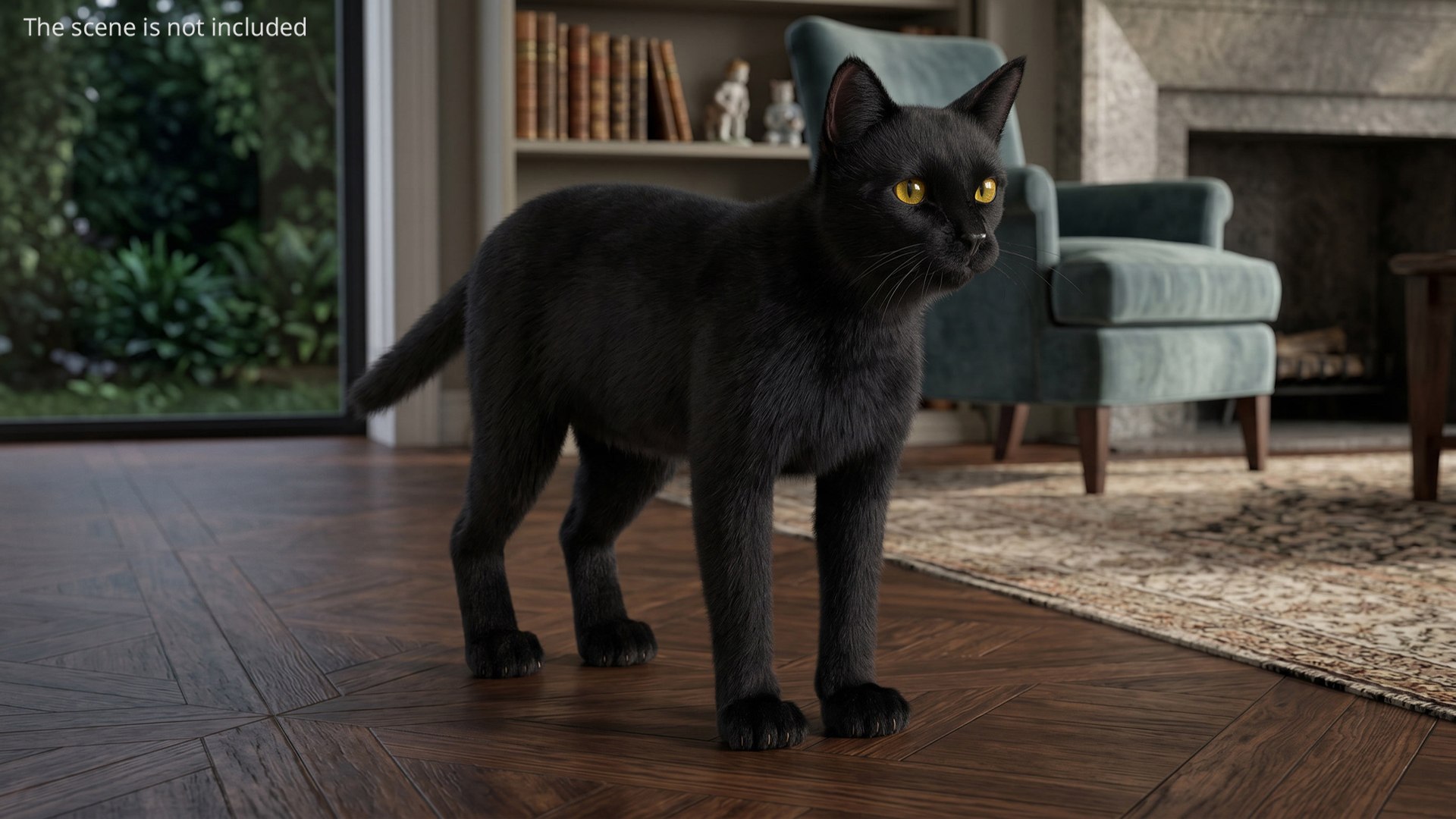 Black House Cat Fur Set Animated Rigged For Maya 3D https://p.turbosquid.com/ts-thumb/aq/jUmF64/9e/black_house_cat_fur_set_animated_rigged_for_maya_003/jpg/1789421812/1920x1080/fit_q87/4d58aef5a58378cc317cd2e7f9adc600f59037b0/black_house_cat_fur_set_animated_rigged_for_maya_003.jpg