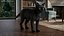 Ensemble de fourrure de chat domestique noir animé et riggé pour Maya
