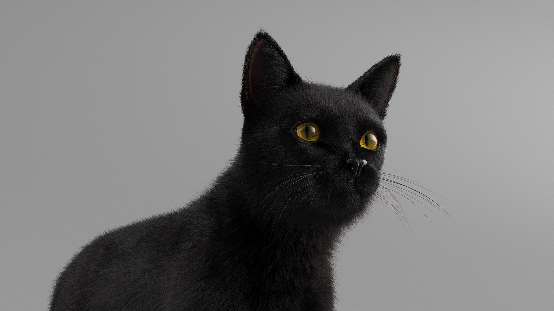 Black House Cat Fur Set Animated Rigged For Maya 3D https://p.turbosquid.com/ts-thumb/aq/jUmF64/9n/black_house_cat_fur_set_animated_rigged_for_maya_016/jpg/1789421854/1920x1080/fit_q87/5a53f71a59637a09abe91d9bbcd56993e7693391/black_house_cat_fur_set_animated_rigged_for_maya_016.jpg