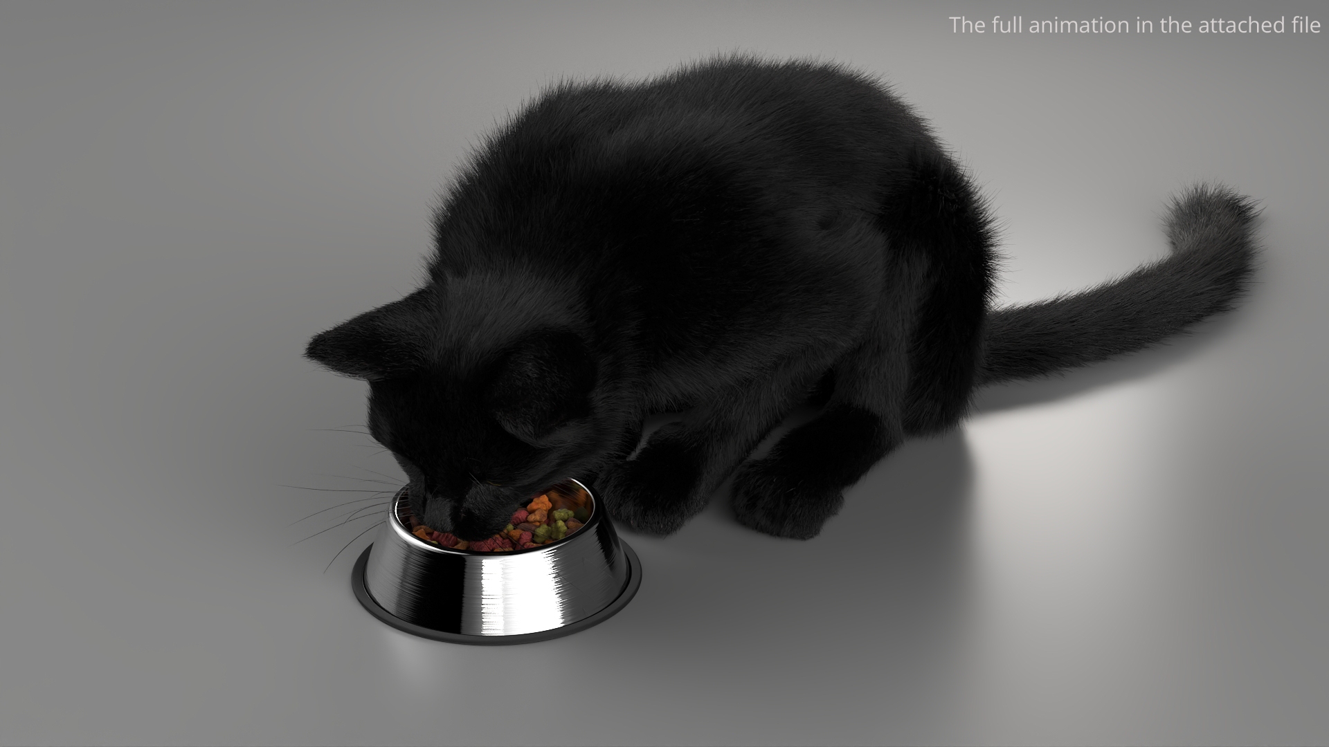 Black House Cat Fur Set Animated Rigged For Maya 3D https://p.turbosquid.com/ts-thumb/aq/jUmF64/CN/black_house_cat_fur_set_animated_rigged_for_maya_363/jpg/1789421360/1920x1080/turn_fit_q99/d61aa72a83bec919431f09c1b317ac5bbc119ad6/black_house_cat_fur_set_animated_rigged_for_maya_363-1.jpg
