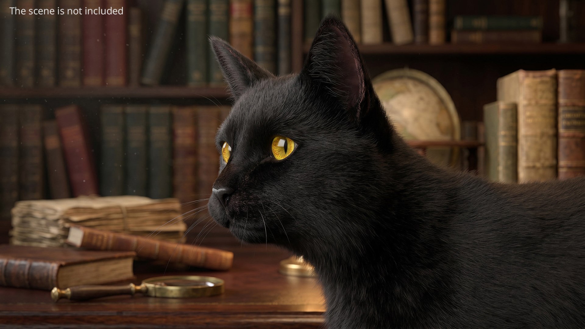 Black House Cat Fur Set Animated Rigged For Maya 3D https://p.turbosquid.com/ts-thumb/aq/jUmF64/Gs/black_house_cat_fur_set_animated_rigged_for_maya_004/jpg/1789421816/1920x1080/fit_q87/50eded42bd195705abc2b3cf4c3c82da4bc6c9df/black_house_cat_fur_set_animated_rigged_for_maya_004.jpg