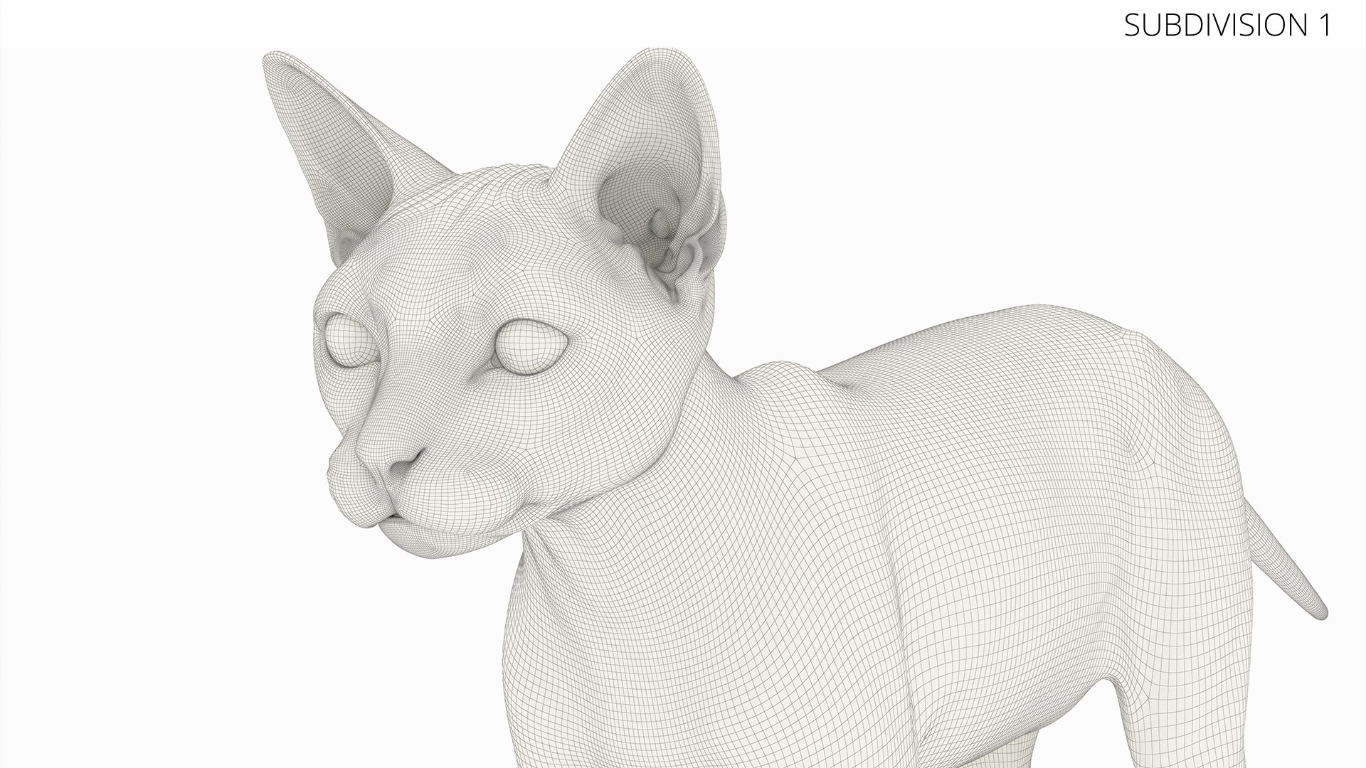 Black House Cat Fur Set Animated Rigged For Maya 3D https://p.turbosquid.com/ts-thumb/aq/jUmF64/Jp/black_house_cat_fur_set_animated_rigged_for_maya_024/jpg/1789421878/1920x1080/fit_q87/f86b31c7d7c5f65f983c526ced70dc265ebca753/black_house_cat_fur_set_animated_rigged_for_maya_024.jpg