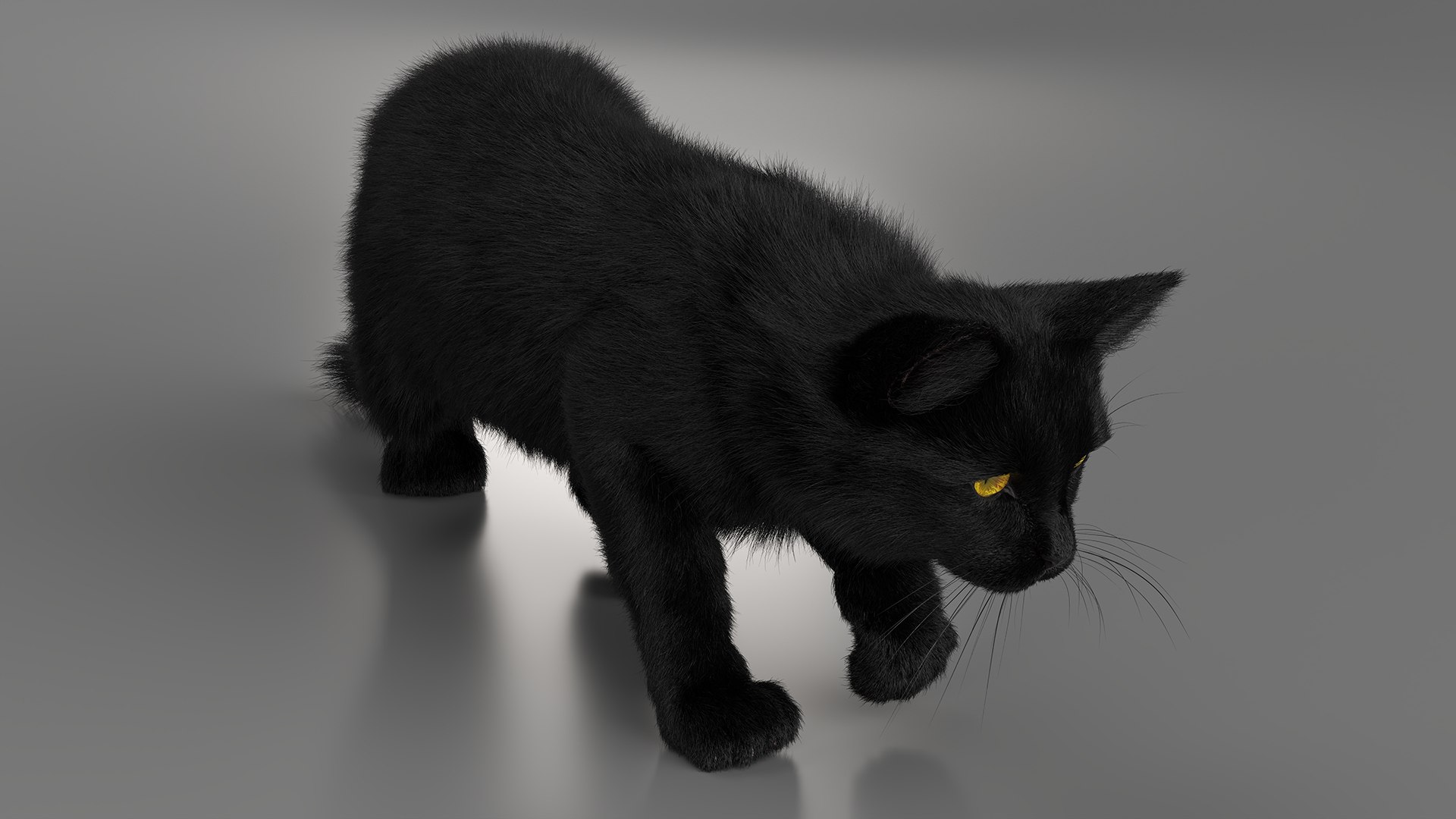 Black House Cat Fur Set Animated Rigged For Maya 3D https://p.turbosquid.com/ts-thumb/aq/jUmF64/Ju/black_house_cat_fur_set_animated_rigged_for_maya_012/jpg/1789421842/1920x1080/fit_q87/107a426ddf60838e0acc5d0d57f8b69e076706e5/black_house_cat_fur_set_animated_rigged_for_maya_012.jpg