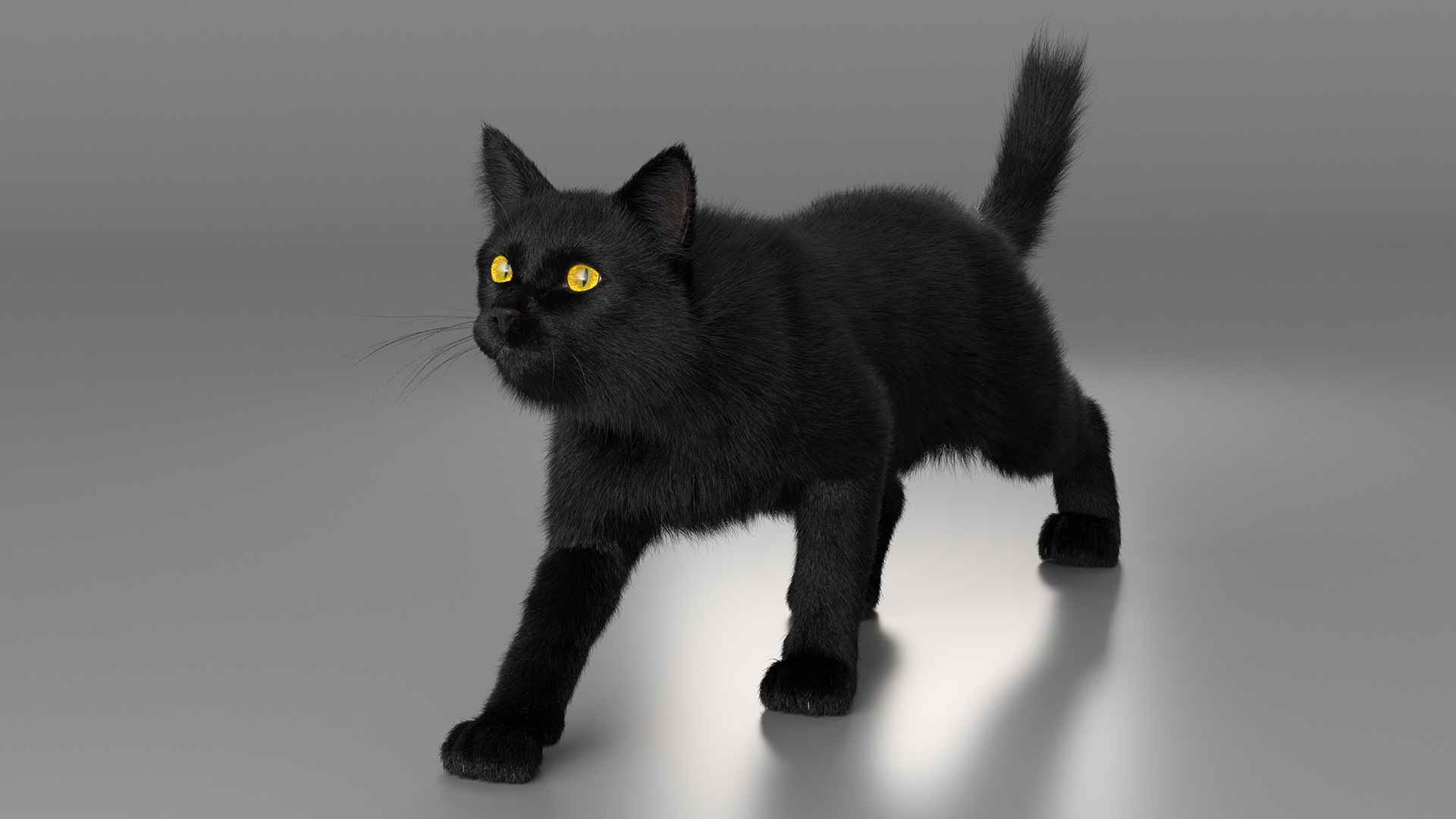 Black House Cat Fur Set Animated Rigged For Maya 3D https://p.turbosquid.com/ts-thumb/aq/jUmF64/Km/black_house_cat_fur_set_animated_rigged_for_maya_006/jpg/1789421823/1920x1080/fit_q87/a9e1f8fc23d5d9a26724dc885344fd850fafc5ce/black_house_cat_fur_set_animated_rigged_for_maya_006.jpg