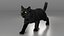 Ensemble de fourrure de chat domestique noir animé et riggé pour Maya