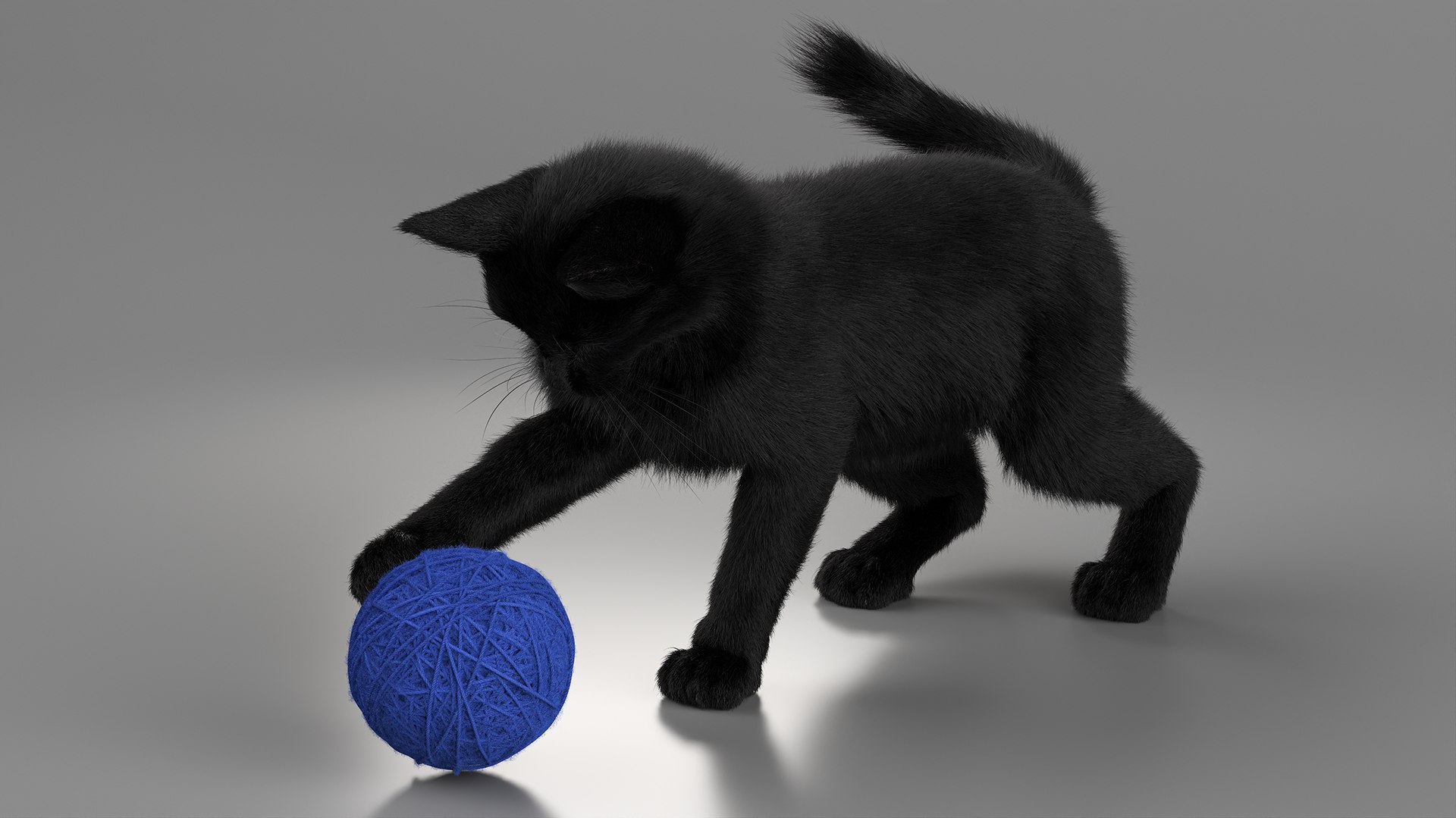 Black House Cat Fur Set Animated Rigged For Maya 3D https://p.turbosquid.com/ts-thumb/aq/jUmF64/MT/black_house_cat_fur_set_animated_rigged_for_maya_010/jpg/1789421836/1920x1080/fit_q87/6b7e9d45ed4342a3dc42bcfc95884682dba3f484/black_house_cat_fur_set_animated_rigged_for_maya_010.jpg