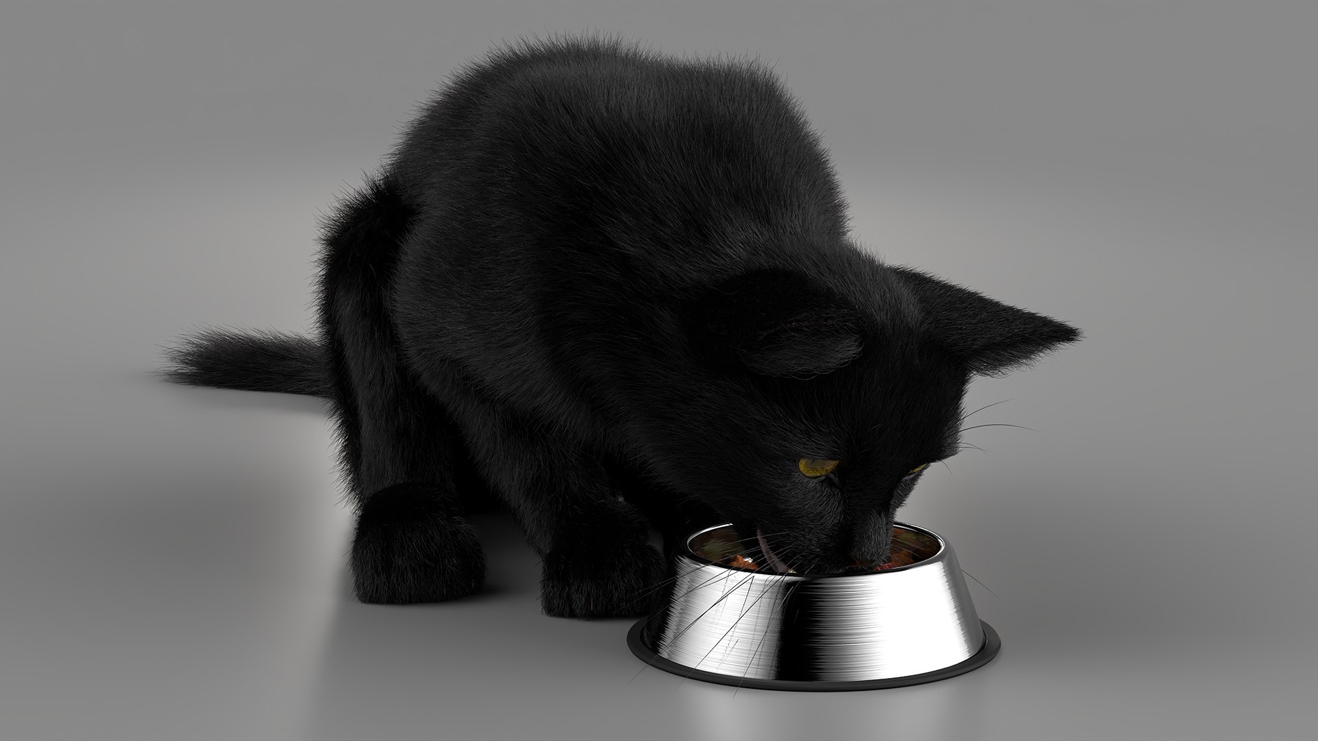 Black House Cat Fur Set Animated Rigged For Maya 3D https://p.turbosquid.com/ts-thumb/aq/jUmF64/TM/black_house_cat_fur_set_animated_rigged_for_maya_008/jpg/1789421830/1920x1080/fit_q87/11df4e4a8e9c284fcdc21b829460c5f956eacec8/black_house_cat_fur_set_animated_rigged_for_maya_008.jpg