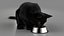 Ensemble de fourrure de chat domestique noir animé et riggé pour Maya