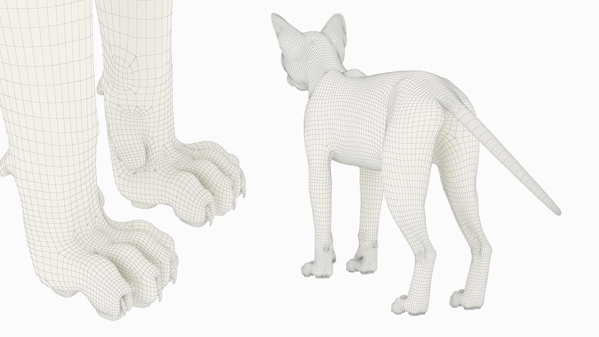 Black House Cat Fur Set Animated Rigged For Maya 3D https://p.turbosquid.com/ts-thumb/aq/jUmF64/Yp/black_house_cat_fur_set_animated_rigged_for_maya_026/jpg/1789421884/1920x1080/fit_q87/9bd0d5051c1635e20126e922a45be3b649315517/black_house_cat_fur_set_animated_rigged_for_maya_026.jpg