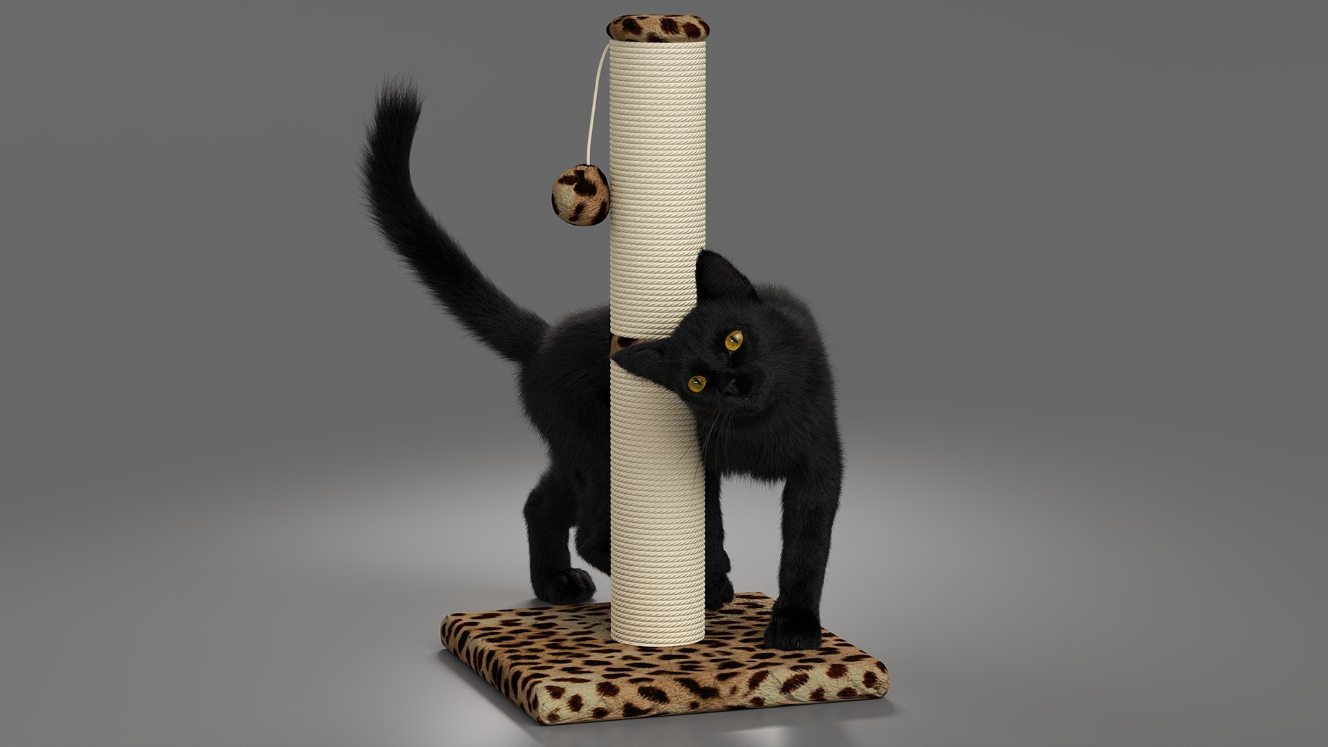 Black House Cat Fur Set Animated Rigged For Maya 3D https://p.turbosquid.com/ts-thumb/aq/jUmF64/dz/black_house_cat_fur_set_animated_rigged_for_maya_011/jpg/1789421839/1920x1080/fit_q87/550562565a000c14f65b808d9c08e645eba7a88e/black_house_cat_fur_set_animated_rigged_for_maya_011.jpg
