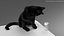 Ensemble de fourrure de chat domestique noir animé et riggé pour Maya