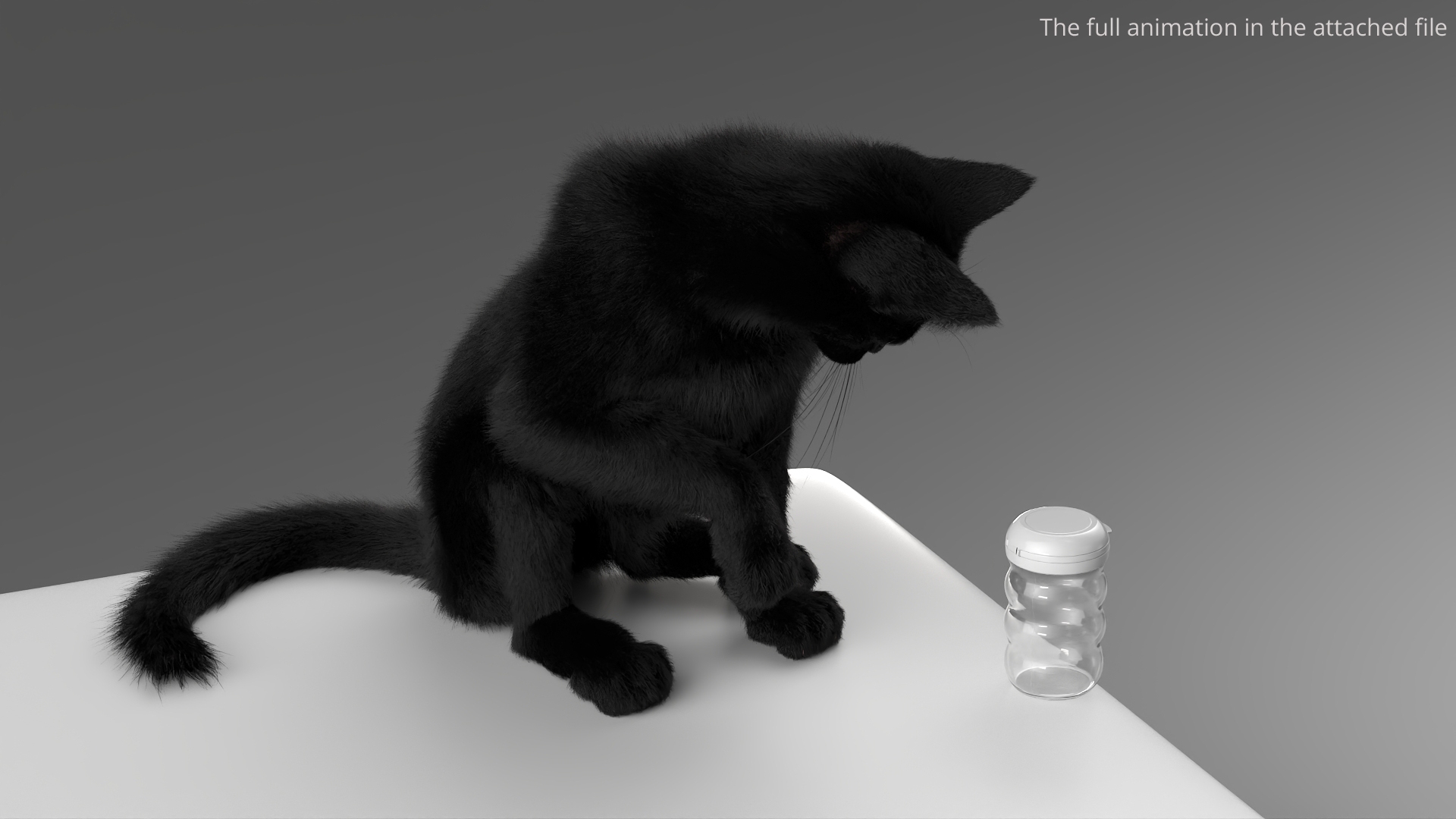 Black House Cat Fur Set Animated Rigged For Maya 3D https://p.turbosquid.com/ts-thumb/aq/jUmF64/jF/black_house_cat_fur_set_animated_rigged_for_maya_365/jpg/1789421508/1920x1080/turn_fit_q99/3c6df82b1cbe6a28ec09b011c612b024817b784a/black_house_cat_fur_set_animated_rigged_for_maya_365-1.jpg