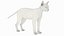 Ensemble de fourrure de chat domestique noir animé et riggé pour Maya