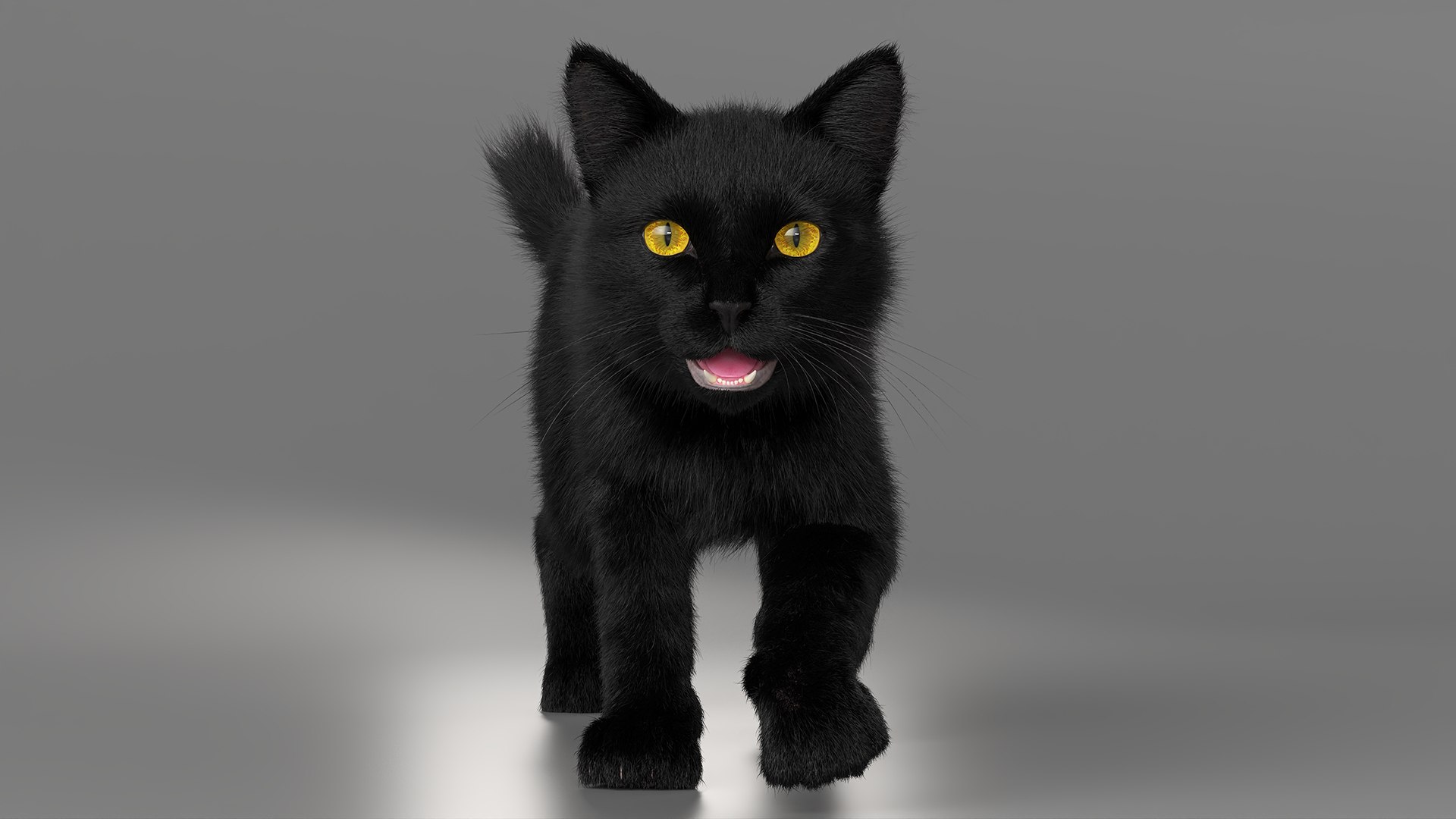 Black House Cat Fur Set Animated Rigged For Maya 3D https://p.turbosquid.com/ts-thumb/aq/jUmF64/mx/black_house_cat_fur_set_animated_rigged_for_maya_007/jpg/1789421827/1920x1080/fit_q87/cbc4e78b703434fffffd6cc4795aacd135da66fa/black_house_cat_fur_set_animated_rigged_for_maya_007.jpg