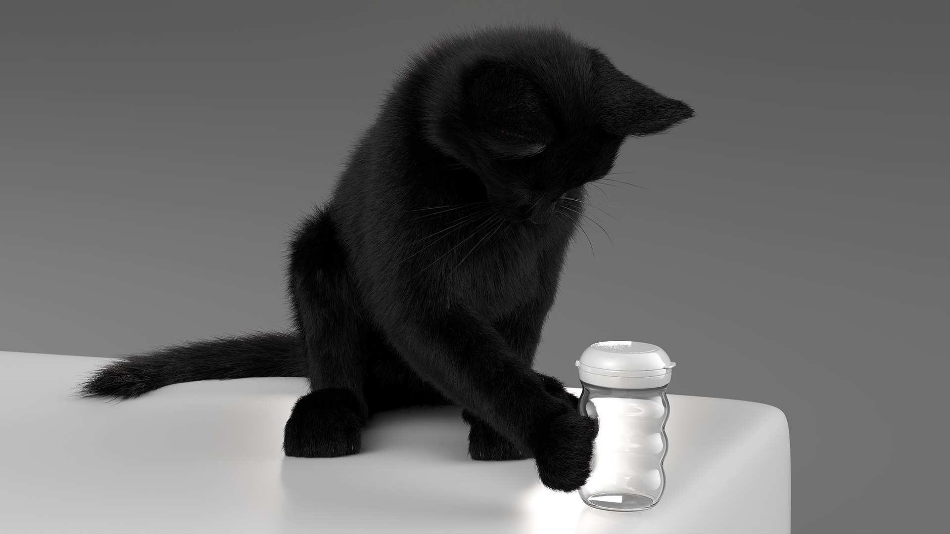 Black House Cat Fur Set Animated Rigged For Maya 3D https://p.turbosquid.com/ts-thumb/aq/jUmF64/oz/black_house_cat_fur_set_animated_rigged_for_maya_009/jpg/1789421833/1920x1080/fit_q87/41d40a466c77c50c8342e8ffdd88cf0c93f50830/black_house_cat_fur_set_animated_rigged_for_maya_009.jpg