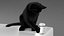 Ensemble de fourrure de chat domestique noir animé et riggé pour Maya