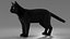 Ensemble de fourrure de chat domestique noir animé et riggé pour Maya