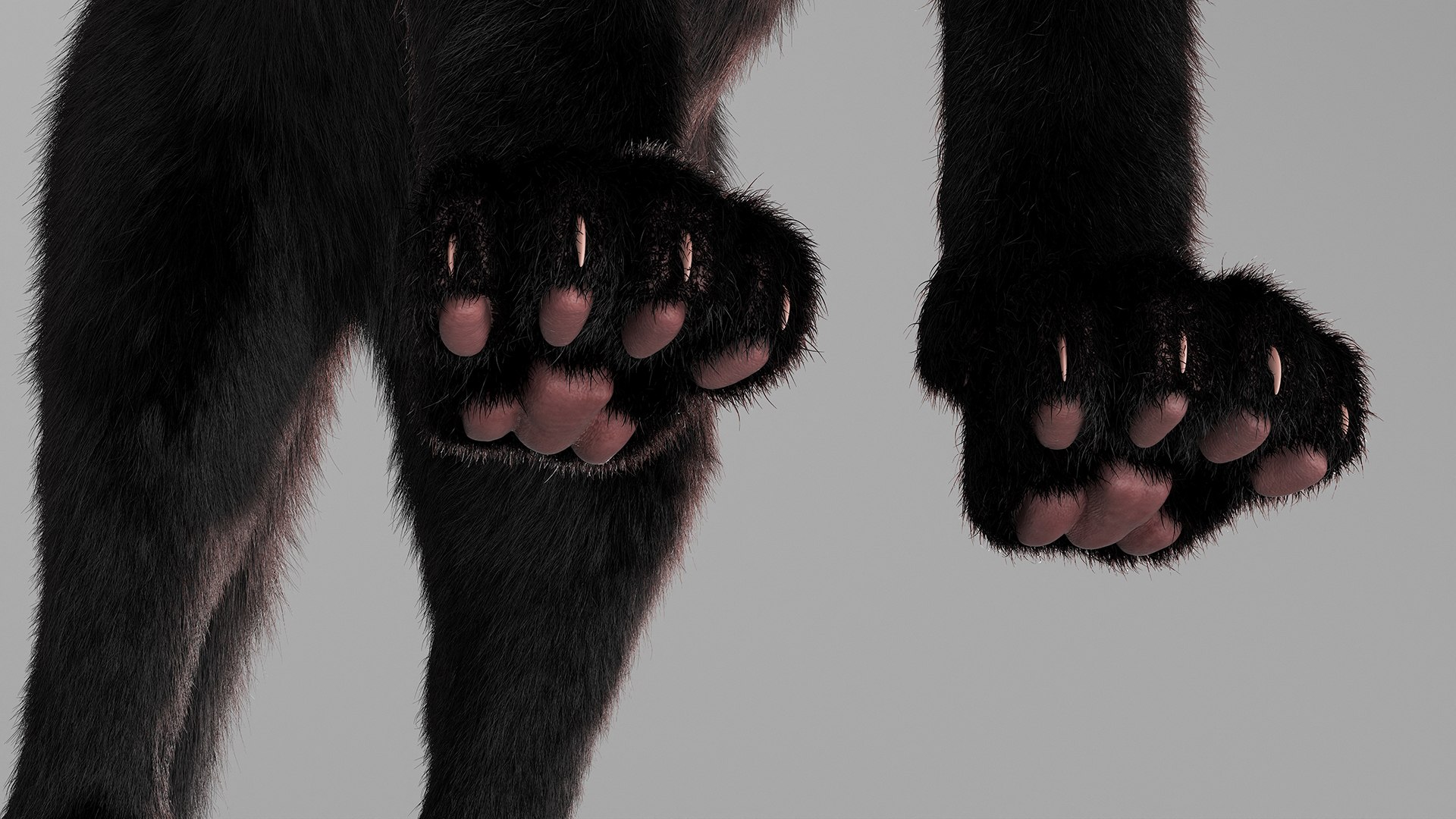 Black House Cat Fur Set Animated Rigged For Maya 3D https://p.turbosquid.com/ts-thumb/aq/jUmF64/qi/black_house_cat_fur_set_animated_rigged_for_maya_021/jpg/1789421869/1920x1080/fit_q87/f4be6dad7e0370fc96ad3abe46b99a436d190a9d/black_house_cat_fur_set_animated_rigged_for_maya_021.jpg