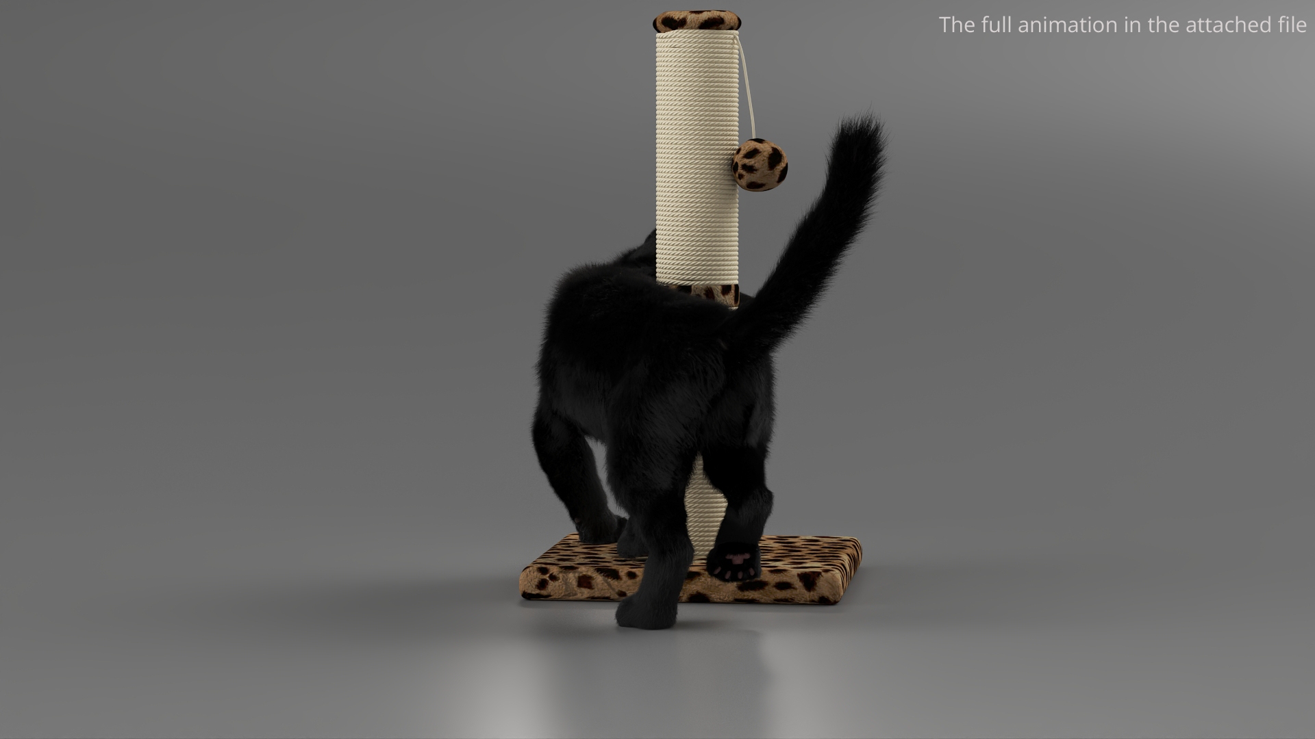 Black House Cat Fur Set Animated Rigged For Maya 3D https://p.turbosquid.com/ts-thumb/aq/jUmF64/uc/black_house_cat_fur_set_animated_rigged_for_maya_366/jpg/1789421582/1920x1080/turn_fit_q99/8ef2528e259d6831882550a88b8fe9adcca2958c/black_house_cat_fur_set_animated_rigged_for_maya_366-1.jpg