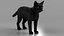 Ensemble de fourrure de chat domestique noir animé et riggé pour Maya