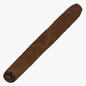 Cigar Long 01 RAW Scan model