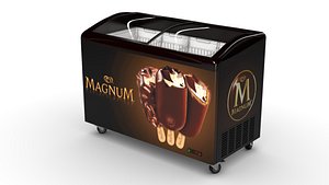 Ice cream Display Fridge 01