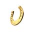 Gold Horseshoe