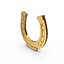 Gold Horseshoe