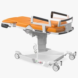 Birthing Bed AVE 2 model