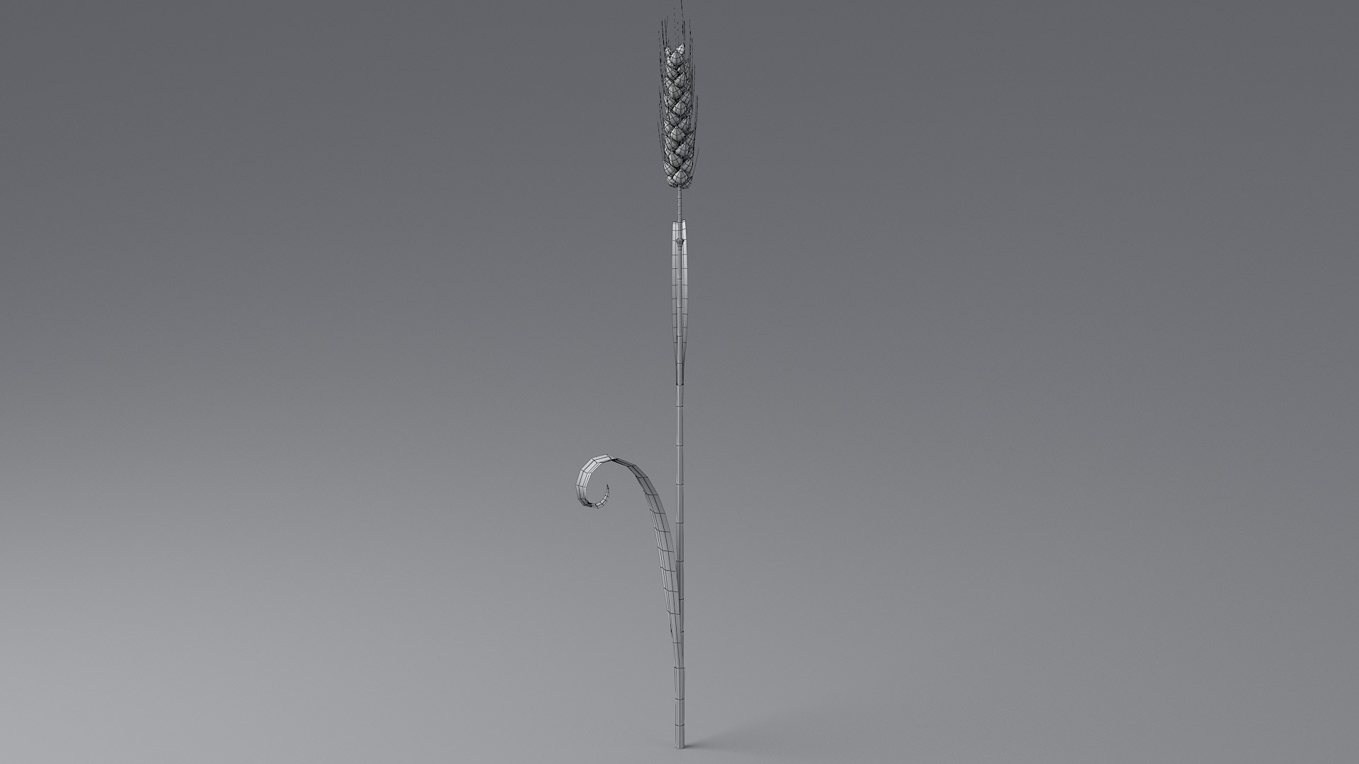 3D Cartoon Wheat Spikelet 05 https://p.turbosquid.com/ts-thumb/ar/XWnH3M/9Z/wheat_0047/jpg/1680443706/1920x1080/fit_q87/44962cc56089414e3fb9e15ac5cb77799a6af2f8/wheat_0047.jpg