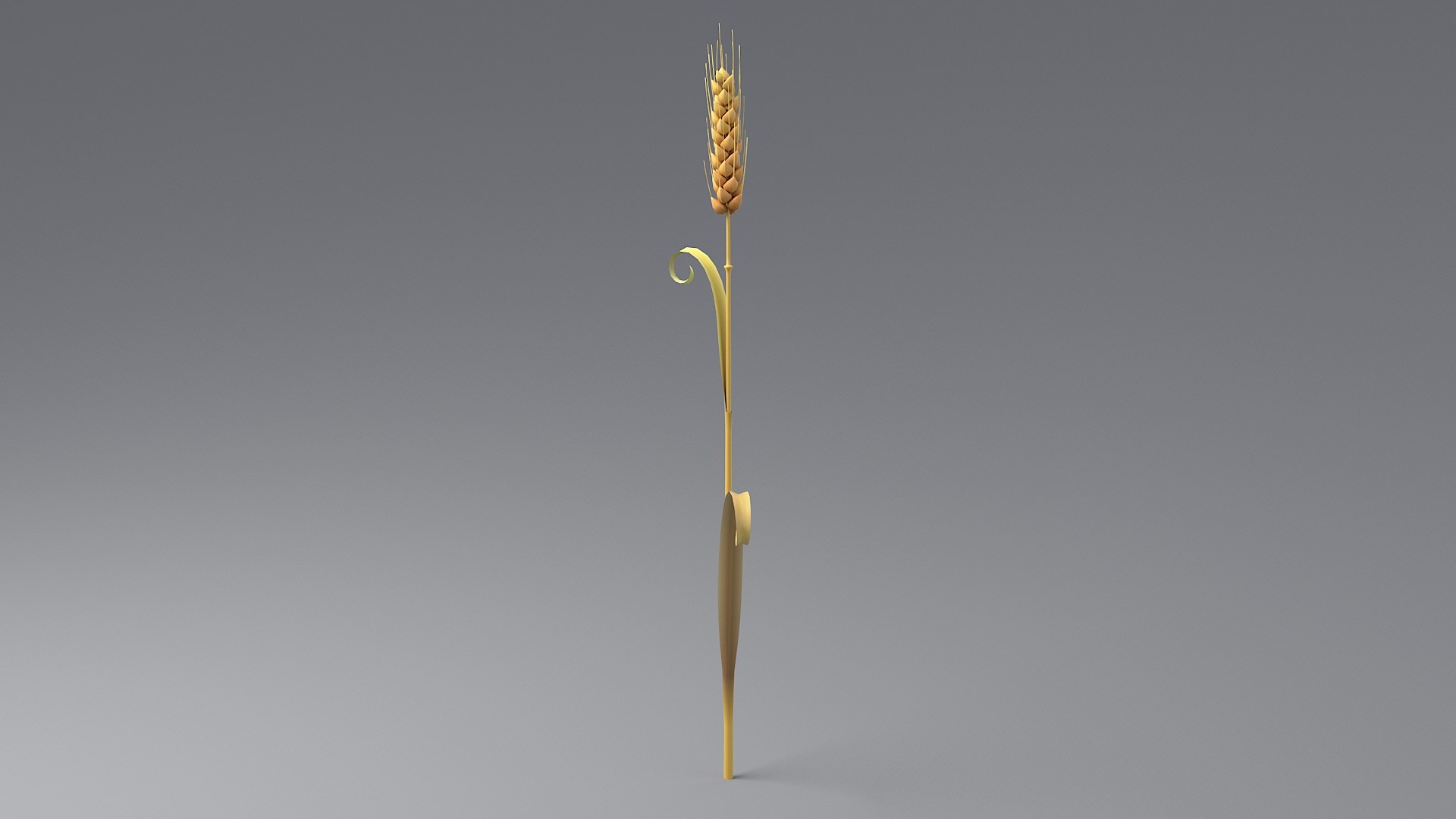 3D Cartoon Wheat Spikelet 05 https://p.turbosquid.com/ts-thumb/ar/XWnH3M/Gf/wheat_0023/jpg/1680443704/1920x1080/fit_q87/01d7668fff1a2849ce666d15e5efa94ffcc3df63/wheat_0023.jpg
