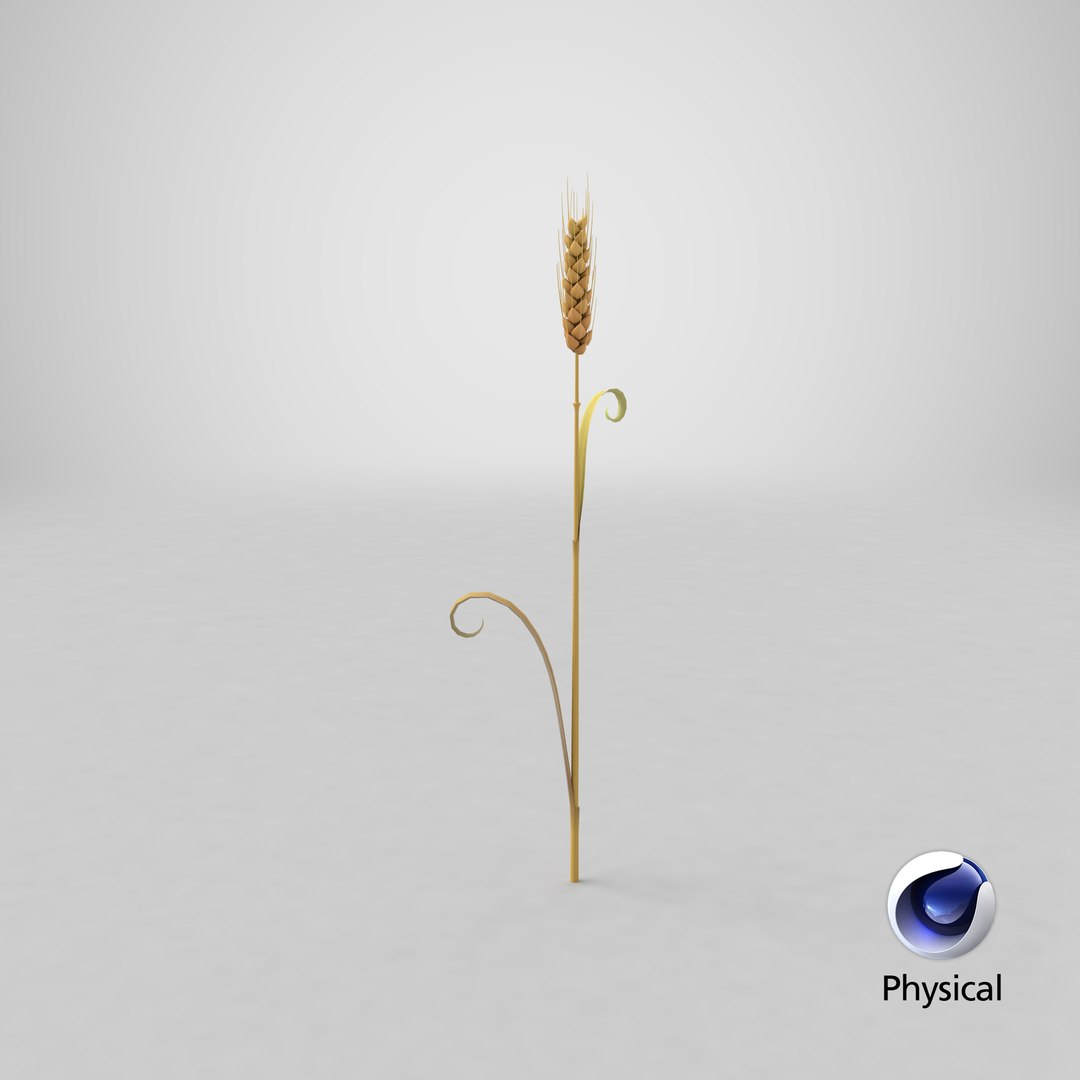 3D Cartoon Wheat Spikelet 05 https://p.turbosquid.com/ts-thumb/ar/XWnH3M/HA/stemcell_cinema_4d_physical_render/png/1680679813/1920x1080/fit_q87/b22167852c5a156599e02016a6f2ec32877f6be1/stemcell_cinema_4d_physical_render.jpg