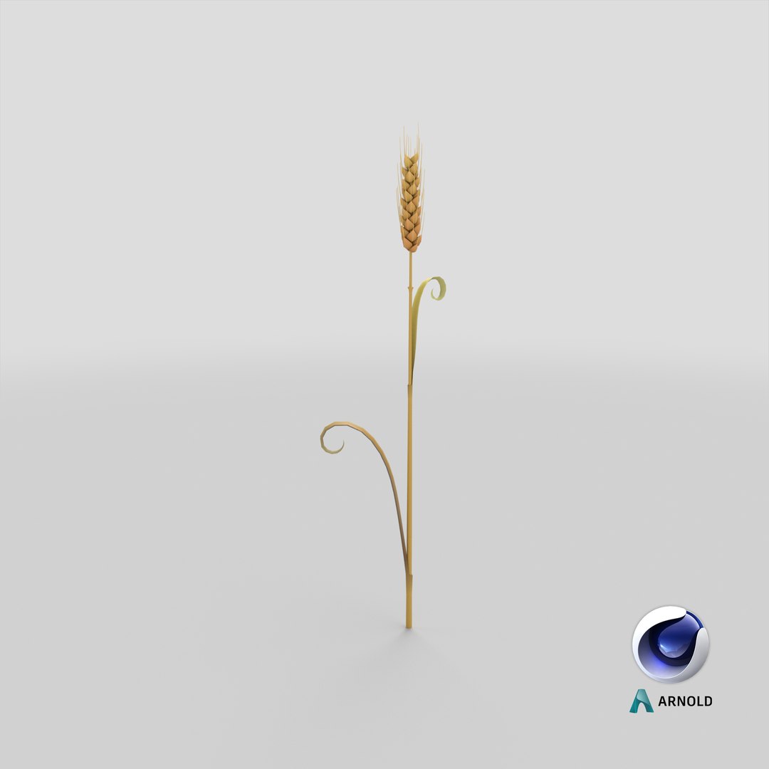 3D Cartoon Wheat Spikelet 05 https://p.turbosquid.com/ts-thumb/ar/XWnH3M/QZ/stemcell_cinema_4d_arnold_render/png/1680679812/1920x1080/fit_q87/0a98611c71def5bb5e103cdc9dd6d6c8fd719c91/stemcell_cinema_4d_arnold_render.jpg