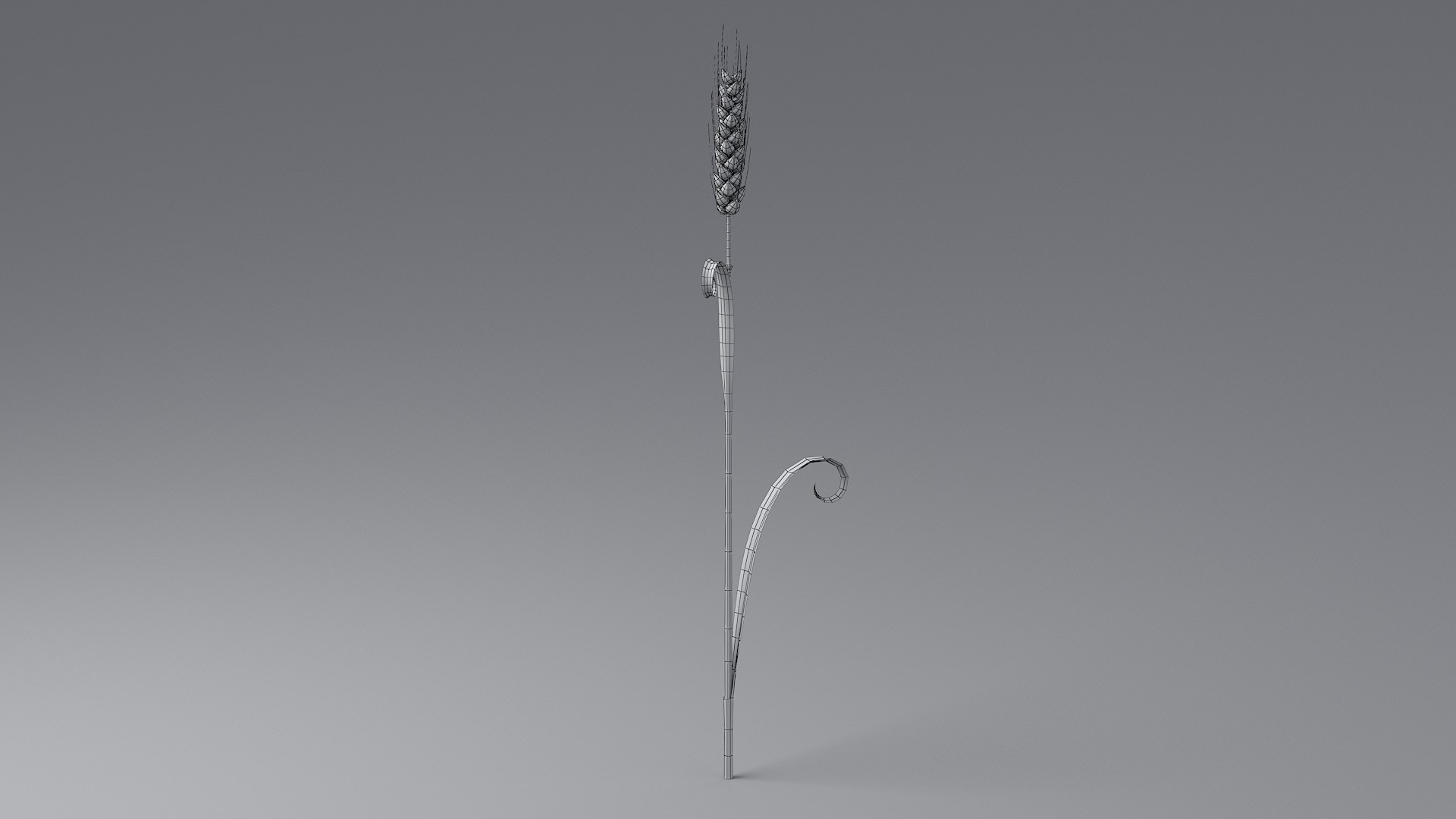 3D Cartoon Wheat Spikelet 05 https://p.turbosquid.com/ts-thumb/ar/XWnH3M/Xl/wheat_0049/jpg/1680443707/1920x1080/fit_q87/70ea2e3f94a5dcd7b05e4286cff1320b5f06e784/wheat_0049.jpg