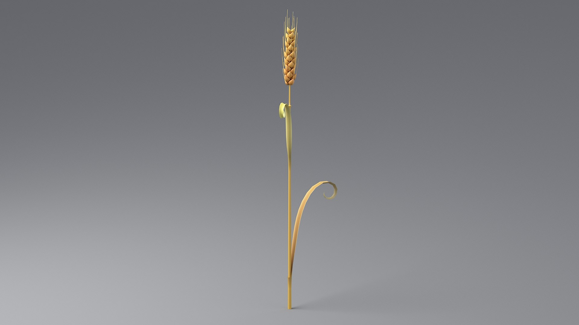 3D Cartoon Wheat Spikelet 05 https://p.turbosquid.com/ts-thumb/ar/XWnH3M/bj/wheat_0024/jpg/1680443705/1920x1080/fit_q87/8b0aab3ada12d224ad5149b2ac5b36666a326989/wheat_0024.jpg