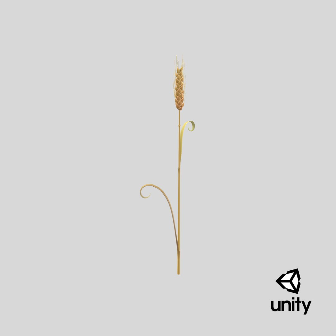 3D Cartoon Wheat Spikelet 05 https://p.turbosquid.com/ts-thumb/ar/XWnH3M/bn/stemcell_unity_render/png/1680679810/1920x1080/fit_q87/486ed2fea9b3545989211856cdef02eba0e0d044/stemcell_unity_render.jpg