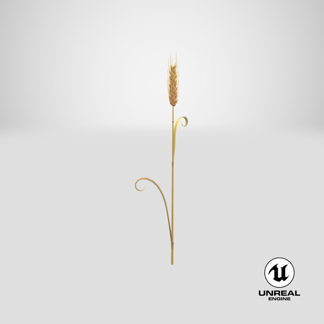 3D Cartoon Wheat Spikelet 05 https://p.turbosquid.com/ts-thumb/ar/XWnH3M/lY/stemcell_unreal_render/png/1680679809/1920x1080/fit_q87/914d3d449b8de2bb94f17e728f78e14c8ffd9424/stemcell_unreal_render.jpg