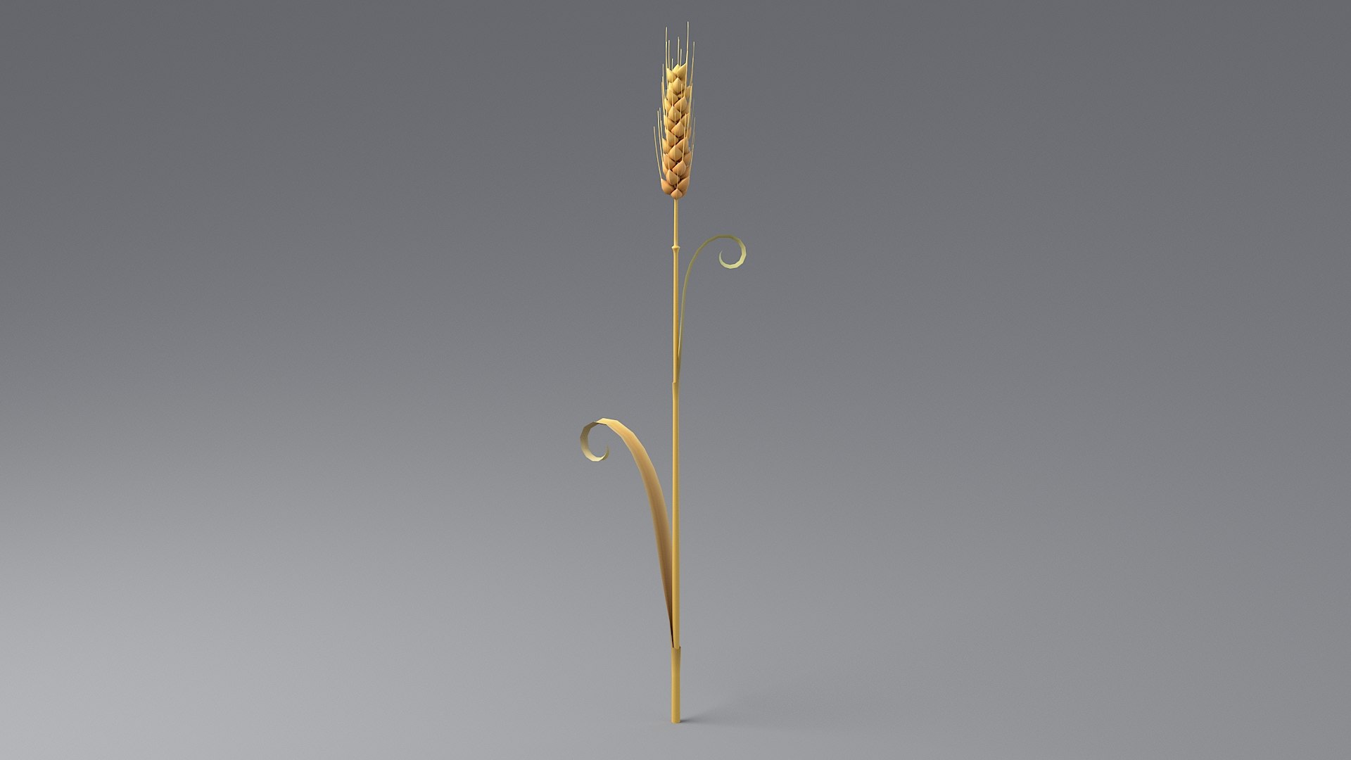 3D Cartoon Wheat Spikelet 05 https://p.turbosquid.com/ts-thumb/ar/XWnH3M/ly/wheat_0025/jpg/1680443705/1920x1080/fit_q87/29c650ff3242544a9c0a6162b8a303d055a50e16/wheat_0025.jpg