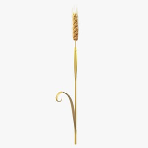Cartoon Wheat Spikelet 05
