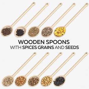Wooden Spoons with Spices Grains and Seeds