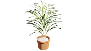 3D plant indoor