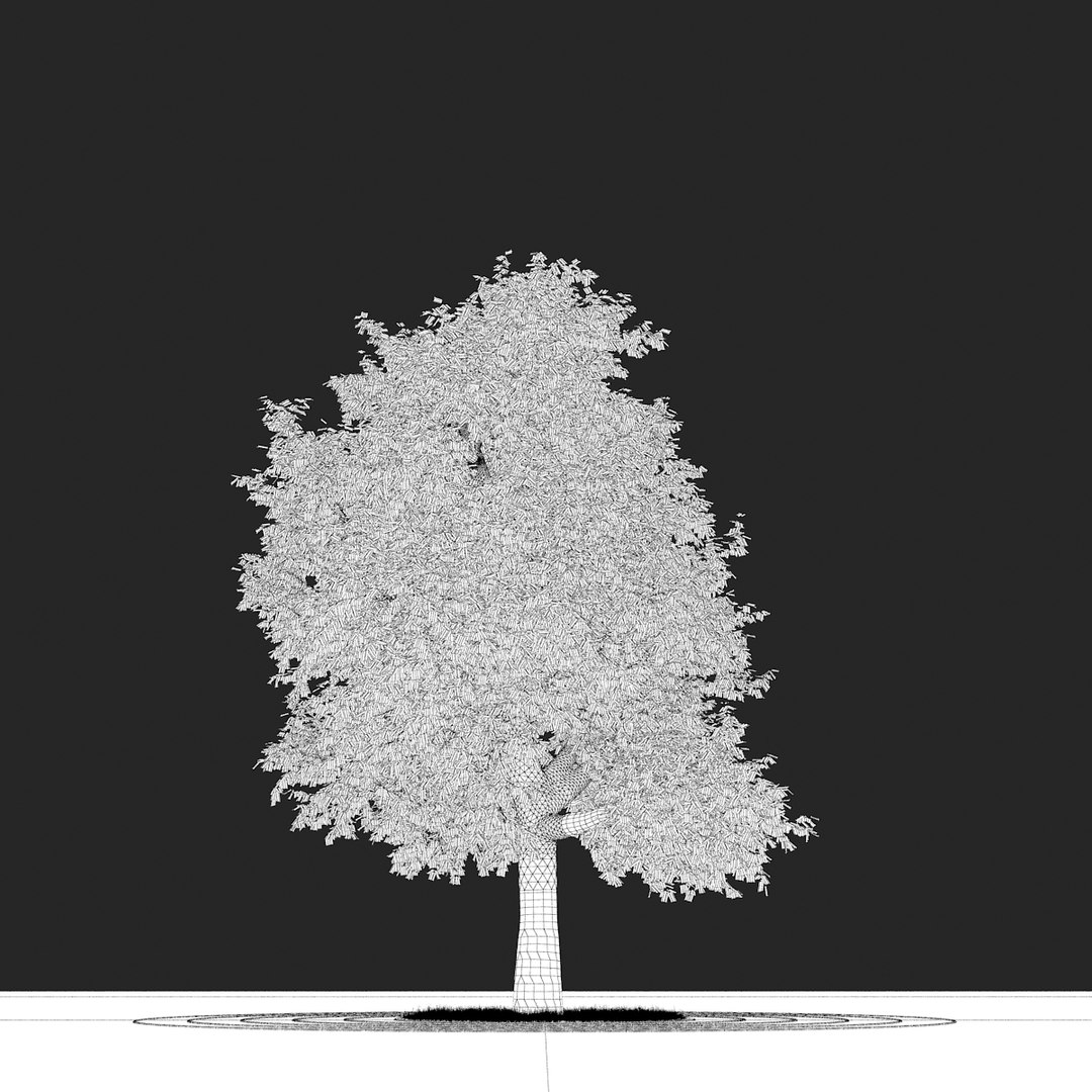 oak tree obj https://p.turbosquid.com/ts-thumb/as/4sJ31n/DOYFvmu1/oak_typ01_wire02/jpg/1318523729/1920x1080/fit_q87/a96cca76fdac55895160042dc8b805a1b42cecbd/oak_typ01_wire02.jpg