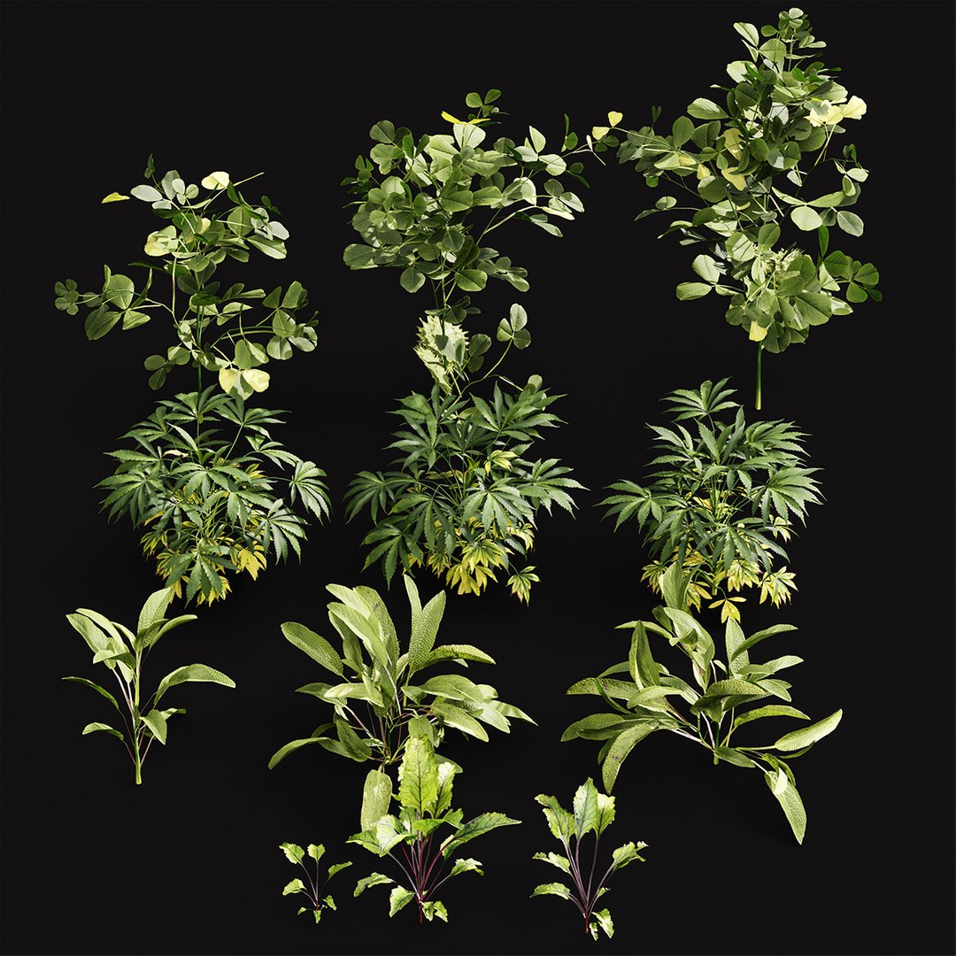 Meadow Lawn Grassland Set 004 3D model https://p.turbosquid.com/ts-thumb/as/5L6fVq/uJ/z001/png/1719747693/1920x1080/fit_q87/affcf5af77c76cb3179791652c88598218922e8e/z001.jpg